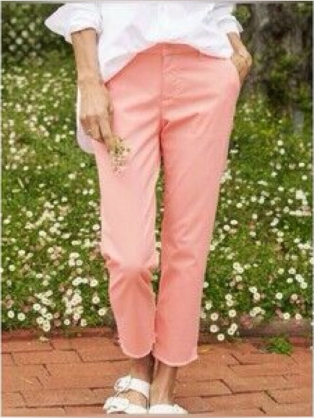 Frank & Eileen Wicklow The Italian Chino Pants Size 6
